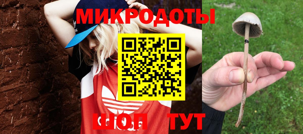 Галлюциногенные грибы прущие грибы Прокопьевск