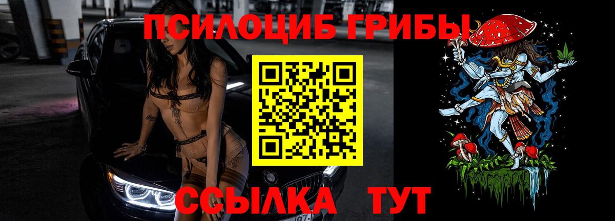 Галлюциногенные грибы Psilocybe  где купить наркотик  Прокопьевск  Вход с VPN 